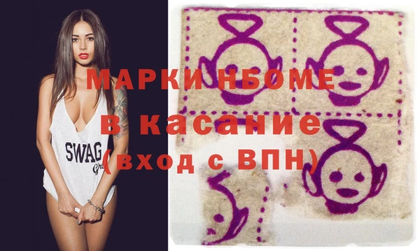индика Ветлуга