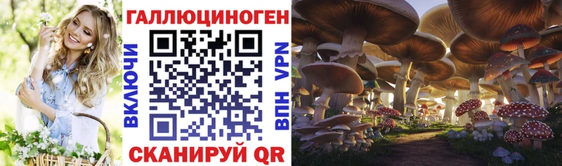 Псилоцибиновые грибы прущие грибы  блэк спрут рабочий сайт  Ирбит 