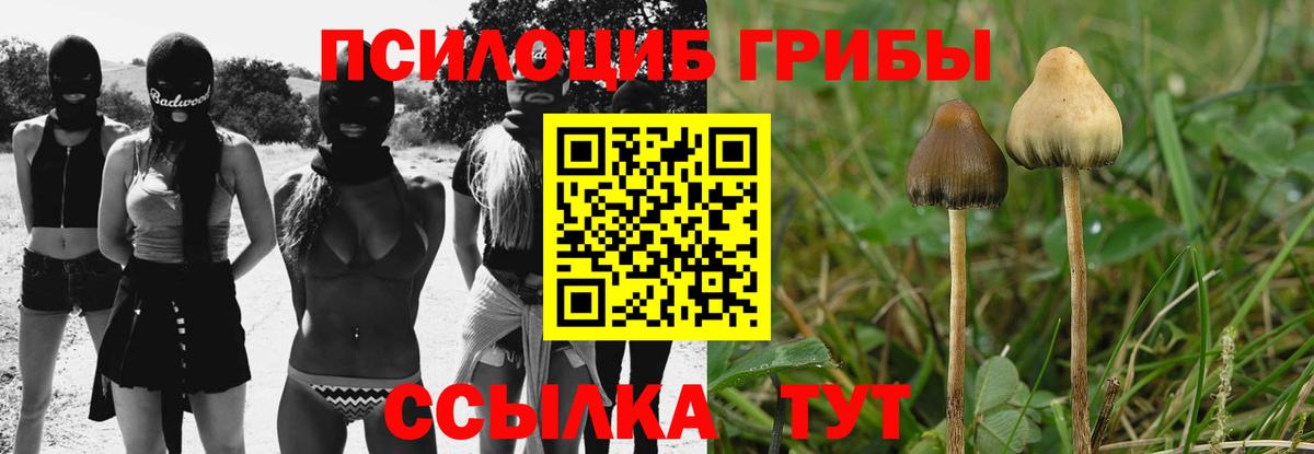 Псилоцибиновые грибы MAGIC MUSHROOMS  Вход с VPN  Галлюциногенные грибы Cubensis  Ирбит 